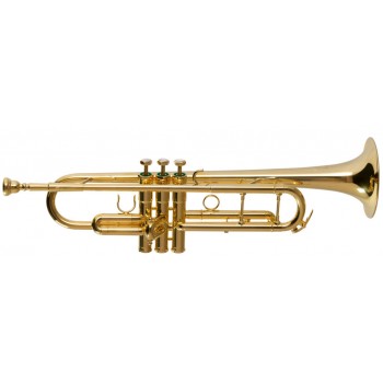 Bb Trumpets